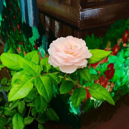 Gia Hung Motel Vung Tau Luaran gambar